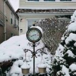 close-up-snow-covered-plants-outside-building_11zon